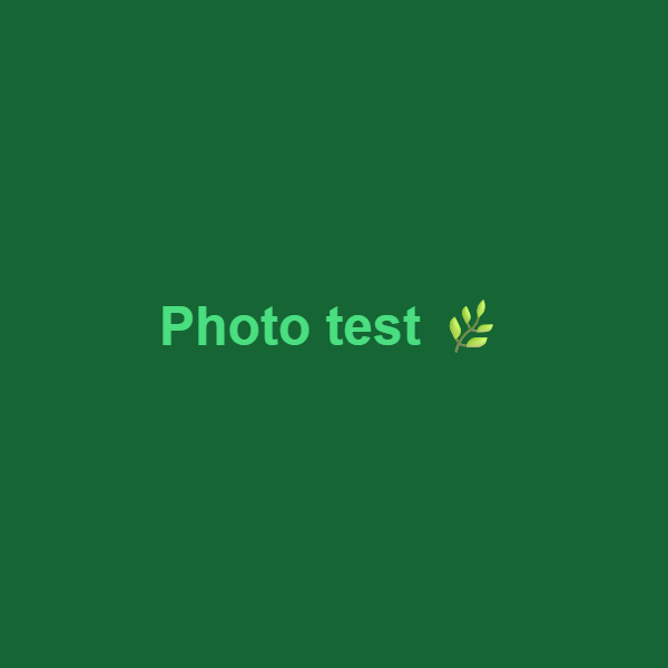 Ma première photo sur Cannagram #cbd #test #greenlife